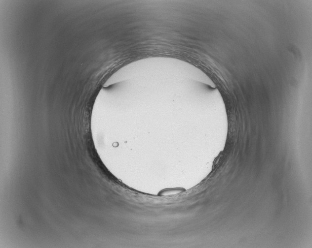 X0000115440043200912020954