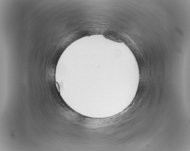 X0000115440045200912020954