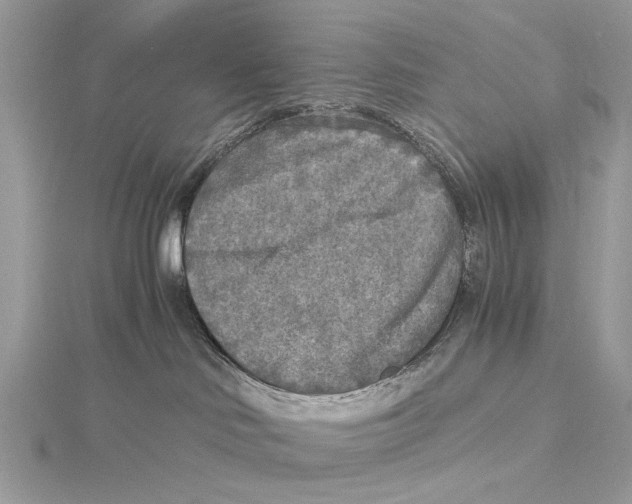 X0000115440046200912020954