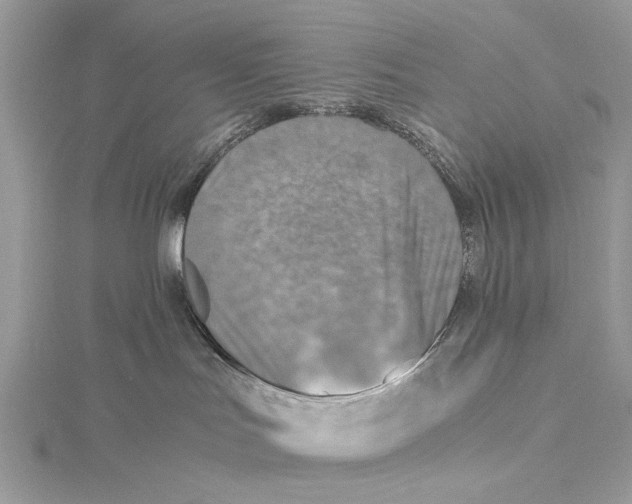 X0000115440047200912020954