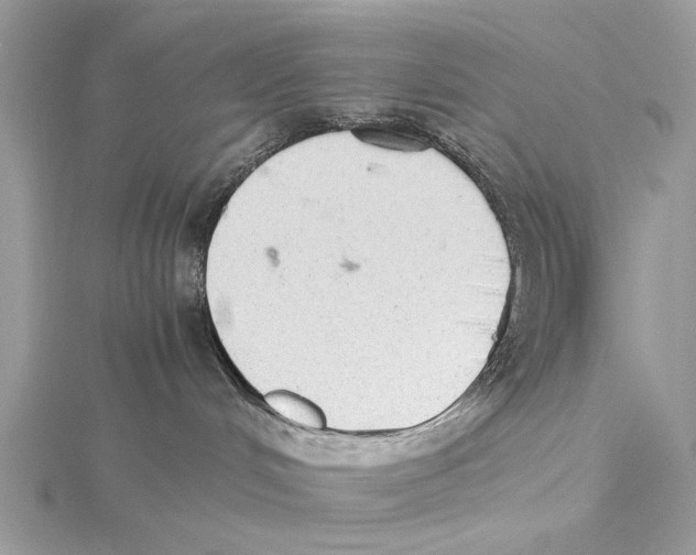 X0000115440048200912020954