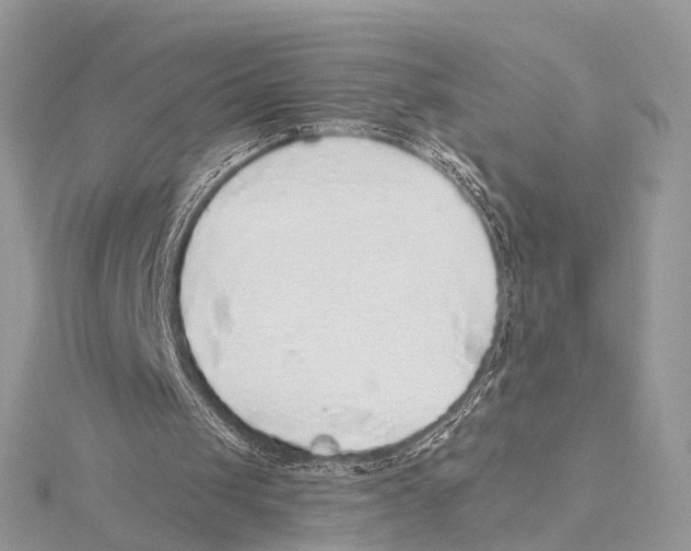 X0000115440049200912020953