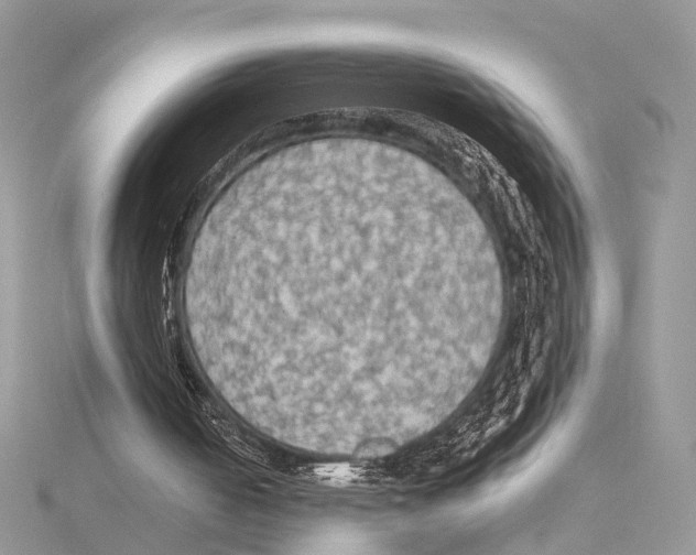 X0000115440050200912020953