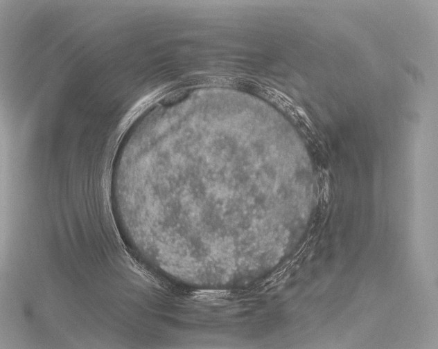 X0000115440051200912020953