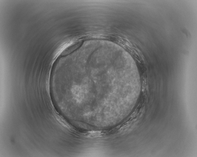 X0000115440052200912020953