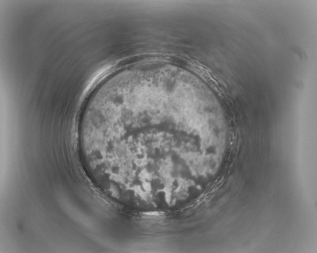 X0000115440053200912020953