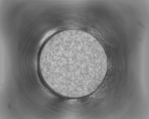 X0000115440054200912020953