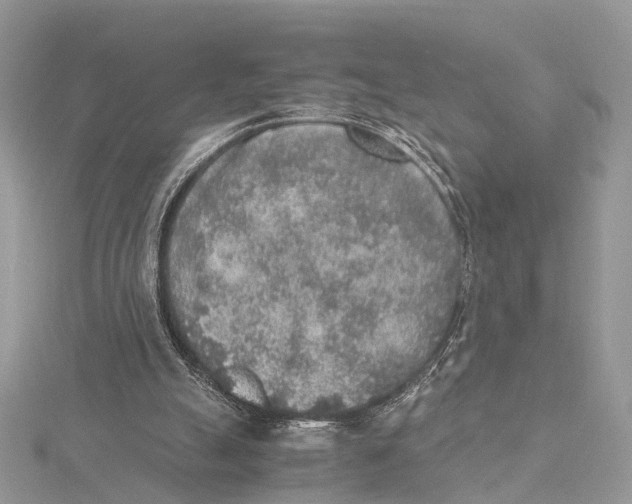 X0000115440055200912020953