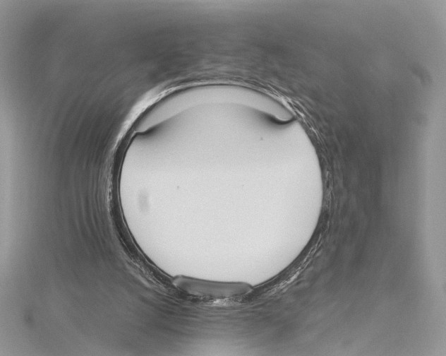 X0000115440056200912020953