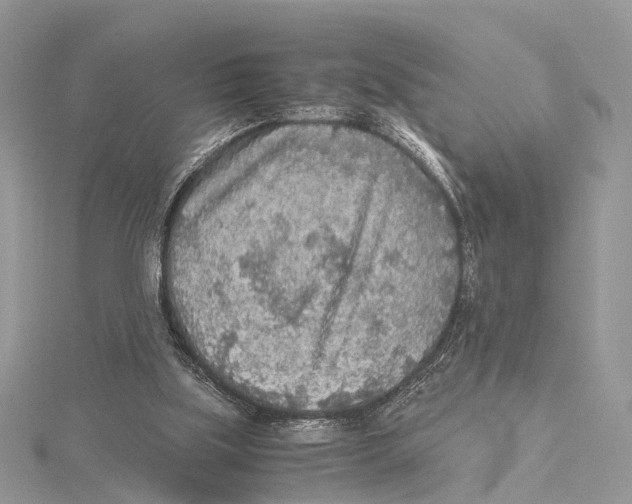 X0000115440059200912020953