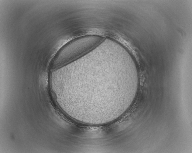 X0000115440060200912020953