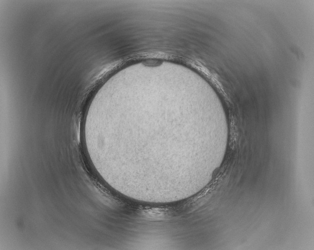 X0000115440062200912020953