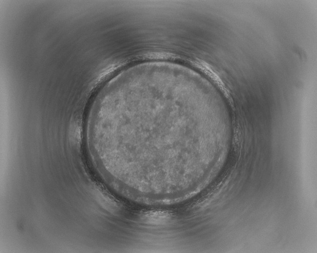 X0000115440063200912020953