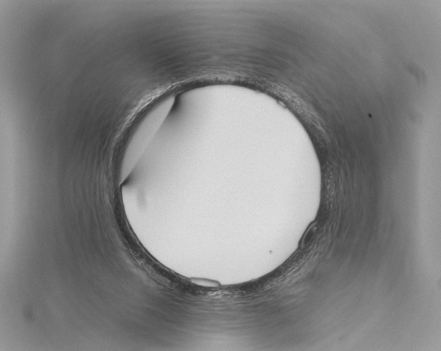 X0000115440064200912020953