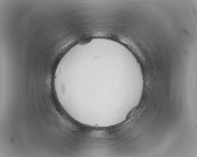 X0000115440066200912020953