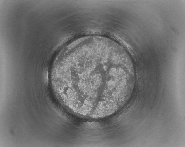 X0000115440067200912020953