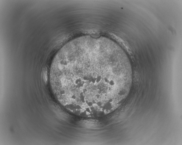 X0000115440069200912020953