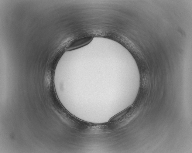 X0000115440072200912020953