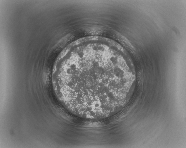 X0000115440073200912020953