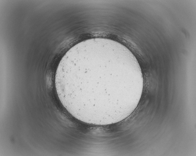 X0000115440074200912020953