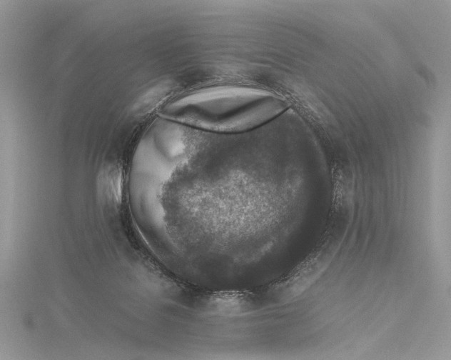 X0000115440076200912020953