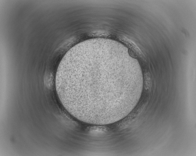 X0000115440077200912020953