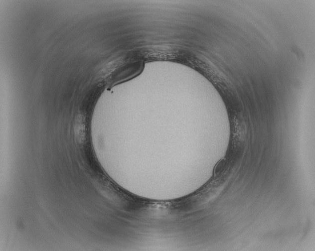 X0000115440080200912020953