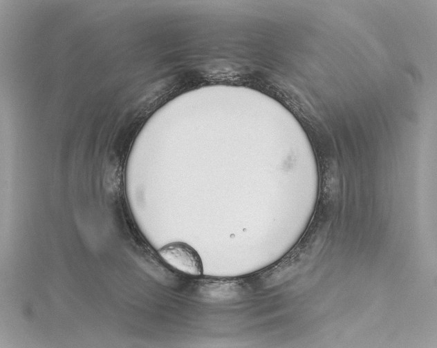 X0000115440081200912020953