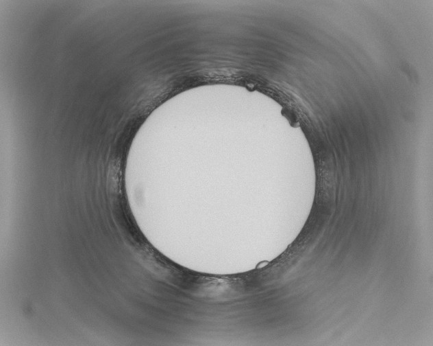 X0000115440083200912020954