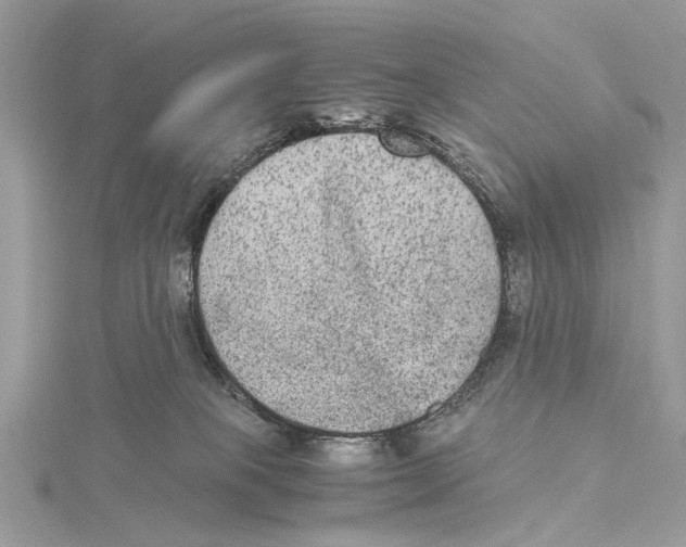 X0000115440085200912020954