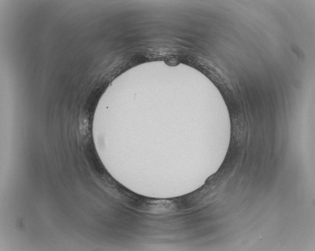 X0000115440087200912020954