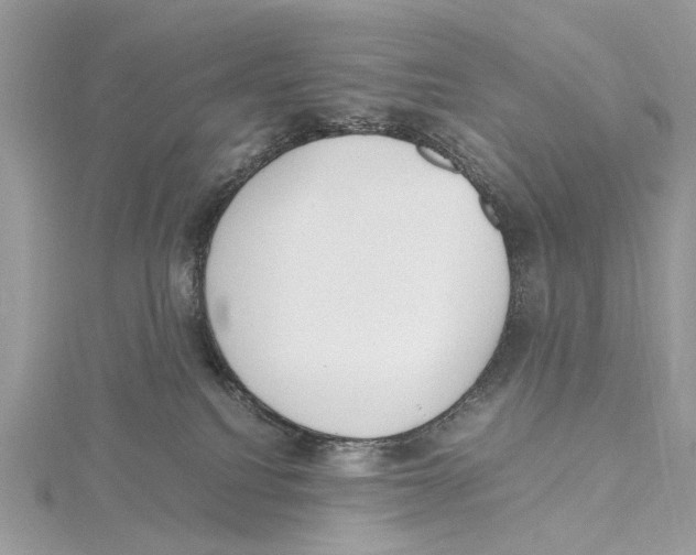 X0000115440088200912020954