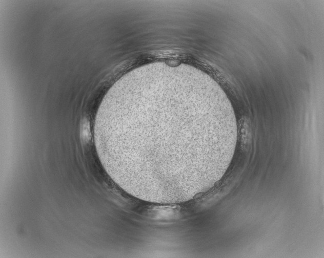 X0000115440089200912020954