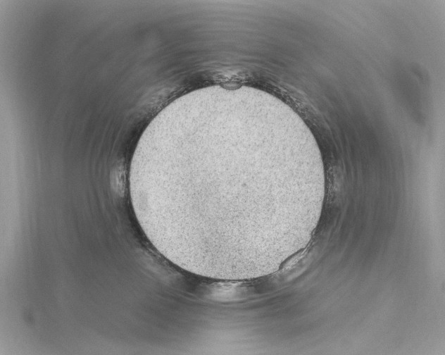 X0000115440090200912020954