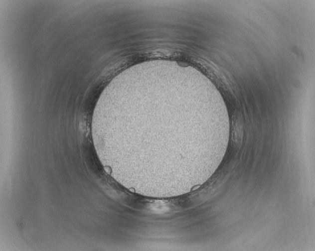 X0000115440091200912020954