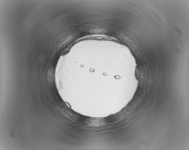 X0000115440093200912020954