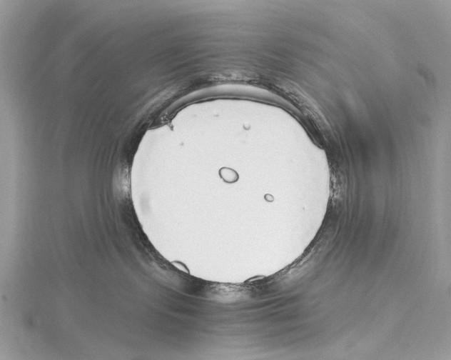 X0000115440095200912020954