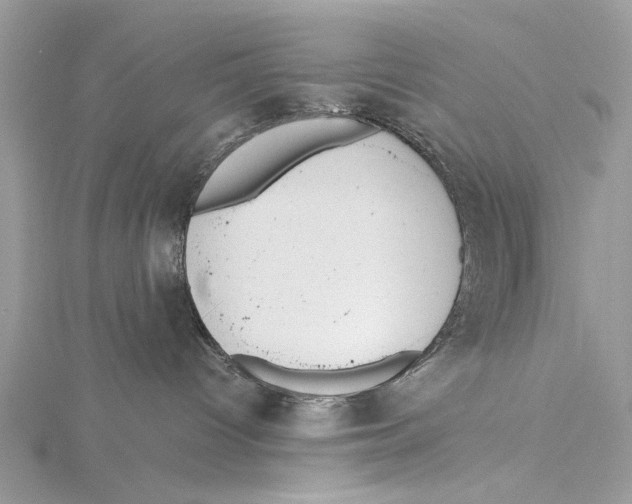 X0000115440096200912020954