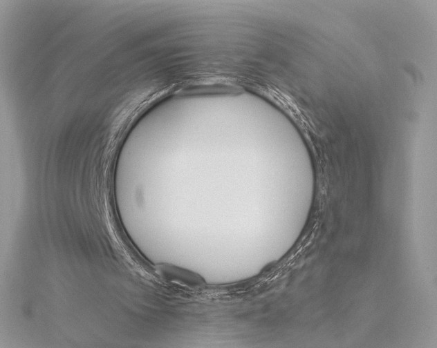 X0000115440097200912020953