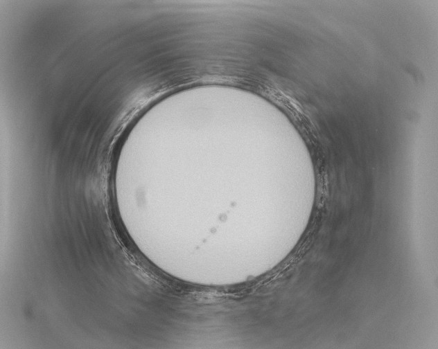 X0000115440098200912020953