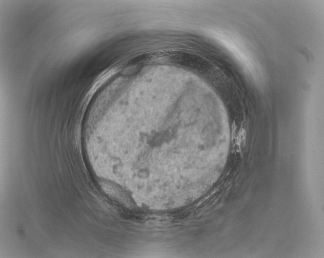 X0000115440099200912020953