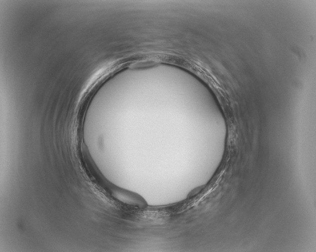 X0000115440101200912020953