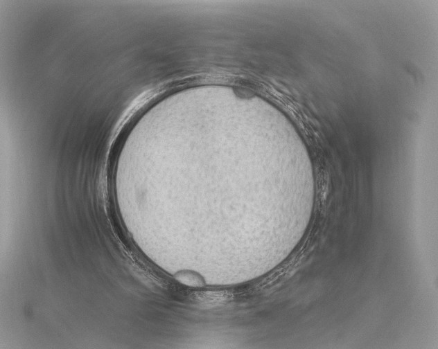 X0000115440102200912020953