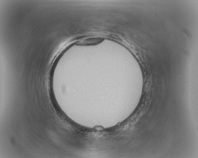 X0000115440103200912020953