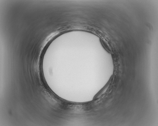 X0000115440104200912020953