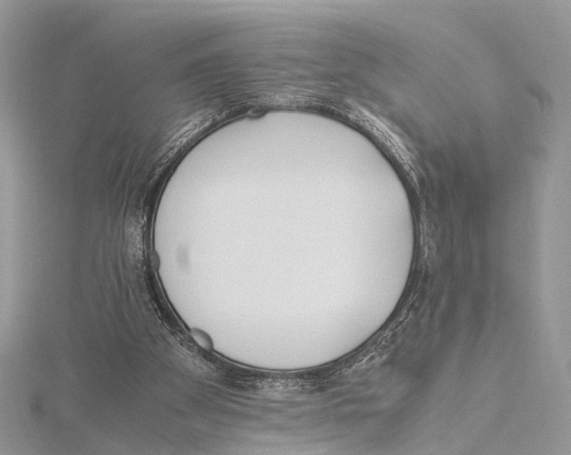 X0000115440105200912020953