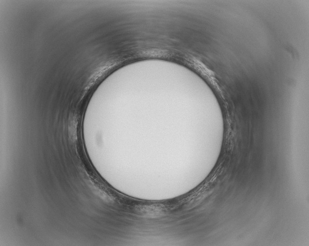 X0000115440106200912020953