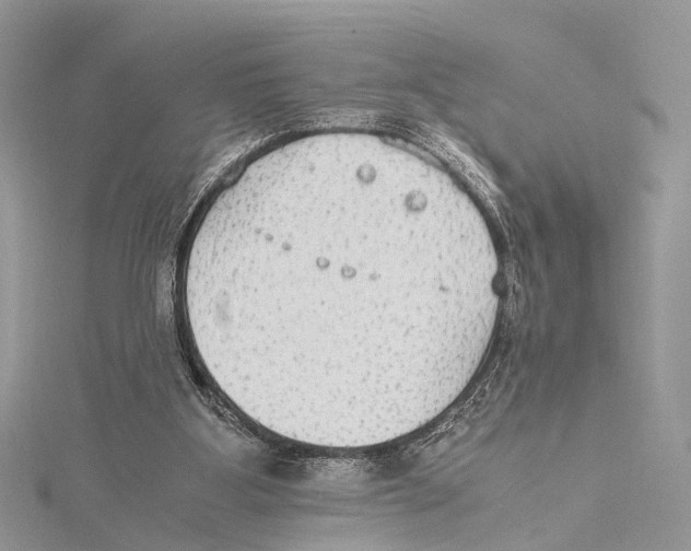 X0000115440107200912020953