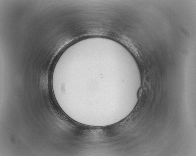 X0000115440108200912020953