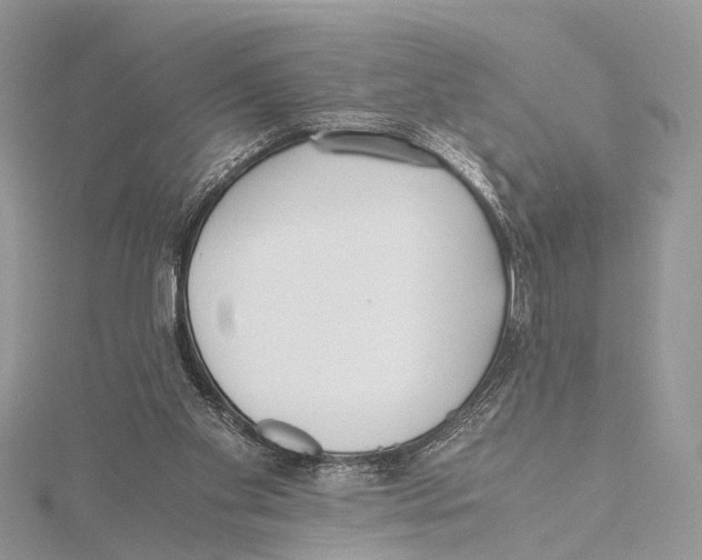 X0000115440109200912020953